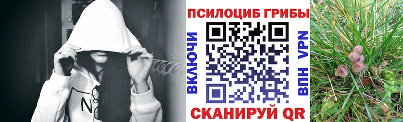 Псилоцибиновые грибы Magic Shrooms  площадка наркотические препараты  Лыткарино  ссылка на мегу сайт 
